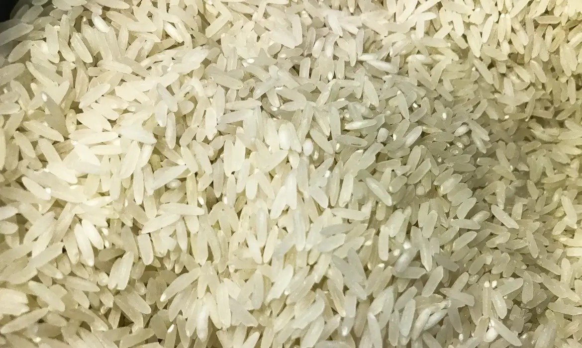 Terremoto de 7,4: Brasil doa arroz à Colômbia
