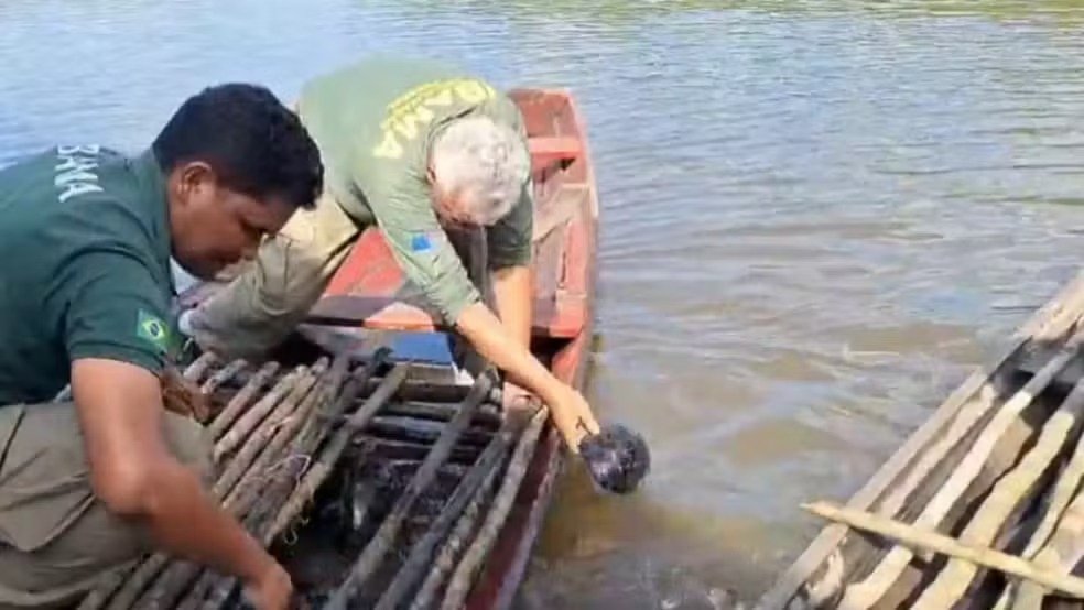 Operação combate caça ilegal e pesca predatória no Amazonas