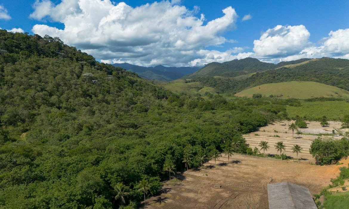 Urbanização cresce 2,5 vezes na Mata Atlântica desde 1985