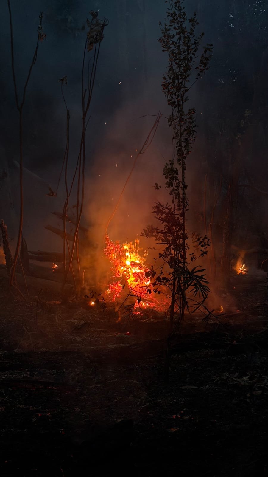 Comunidade pede equipamentos para combater incêndios